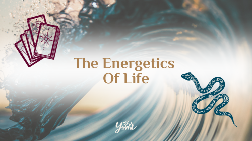 The Energetics Of Life