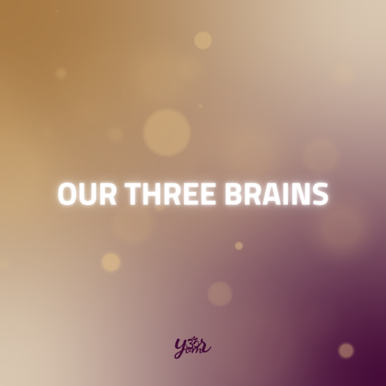Three brains head brain heart brain gut brain