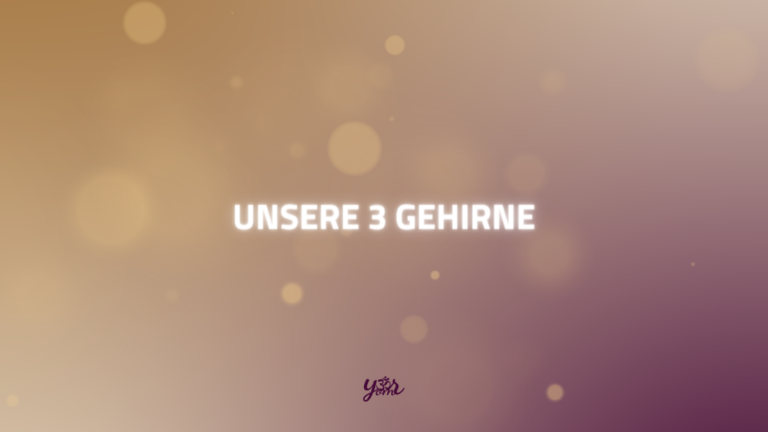 Text Unsere 3 Gehirne