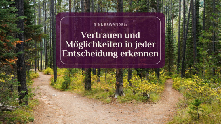 Vertrauen und Möglichkeiten in jeder Entscheidung erkennen: Ein Waldpfad, der sich aufteilt