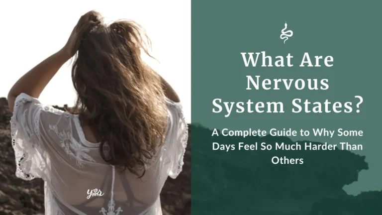What are Nervous System States?