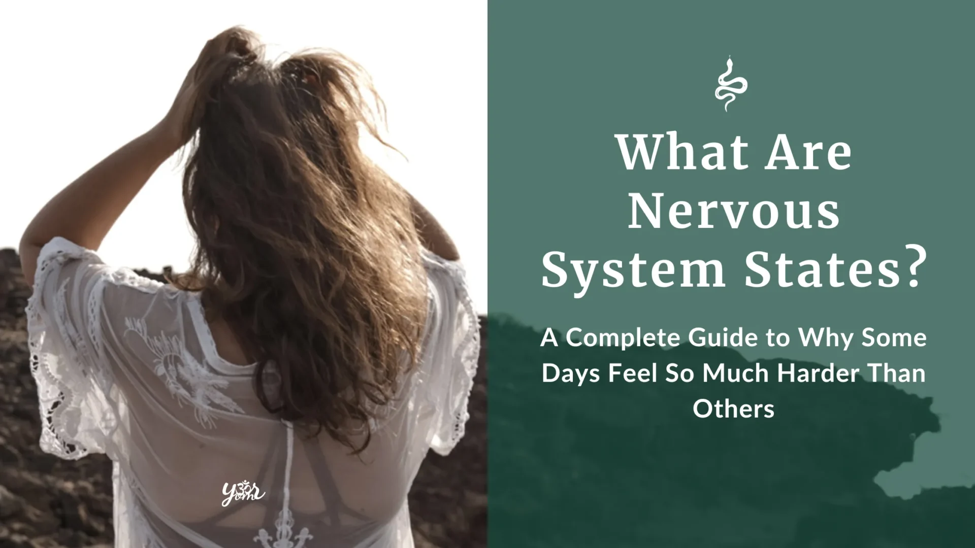 What are Nervous System States?