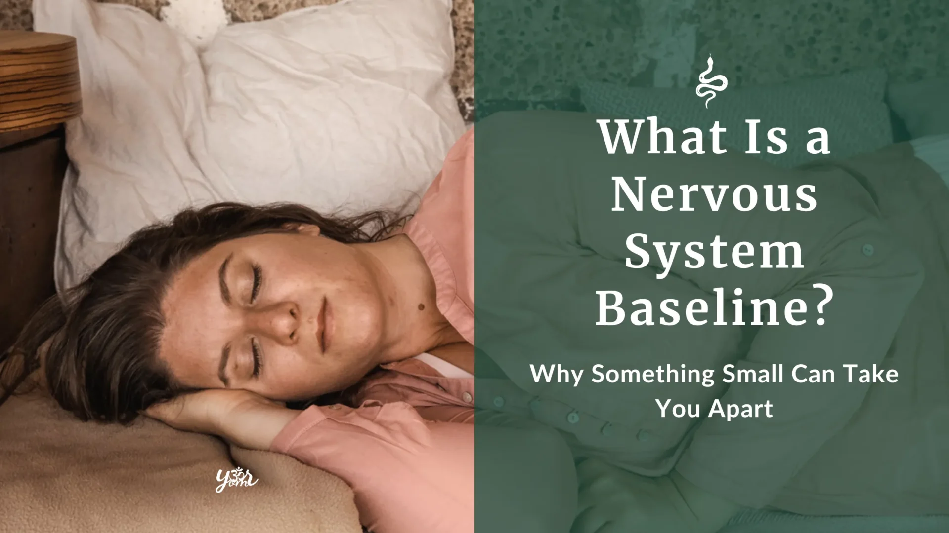 What is a Nervous System Baseline